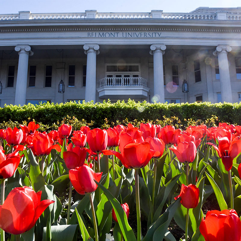 A photo of Freeman Hall with tulips