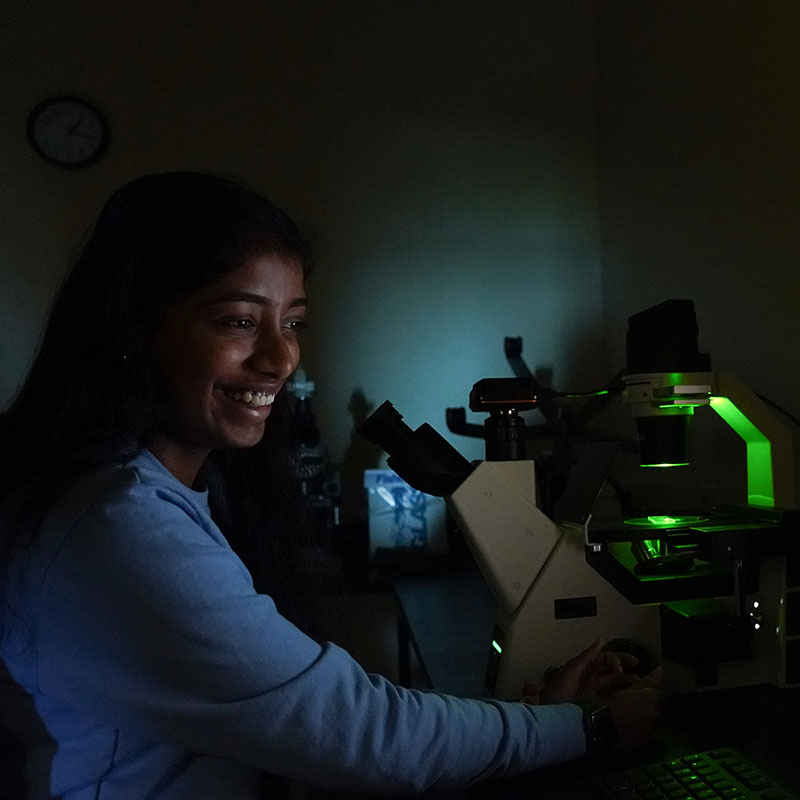 A biology student looking at cells through a microscope