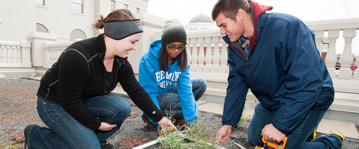 Three students kneel over plants on the rooftop garden of the Wedgewood Academic Center.
