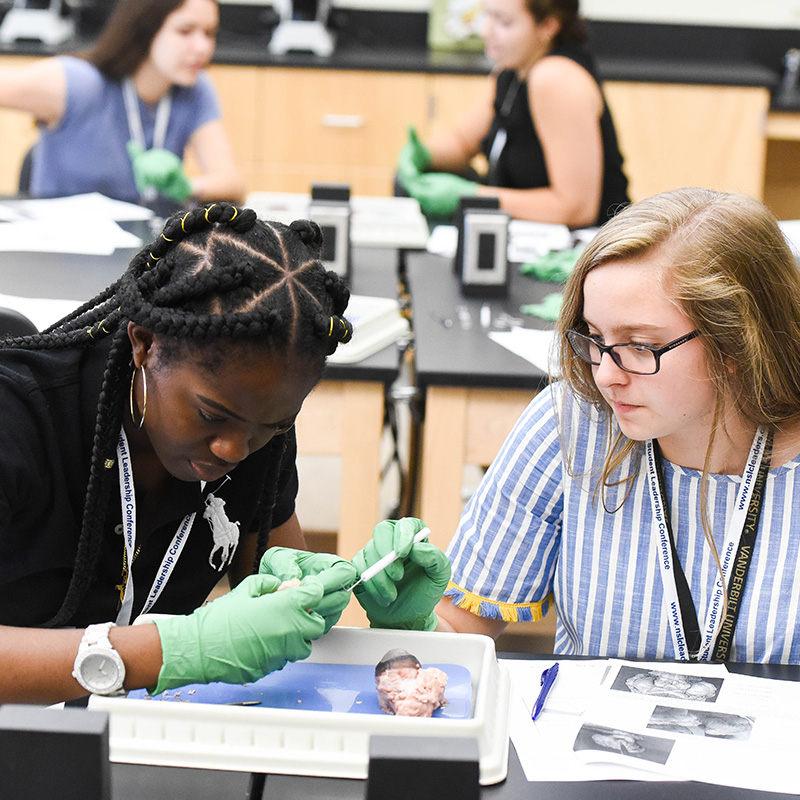 Two female students sit at a lab table and dissect a brain.