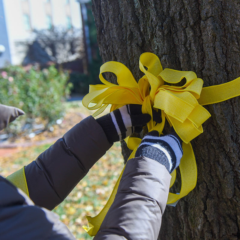 A Yellow Ribbon on a Tree