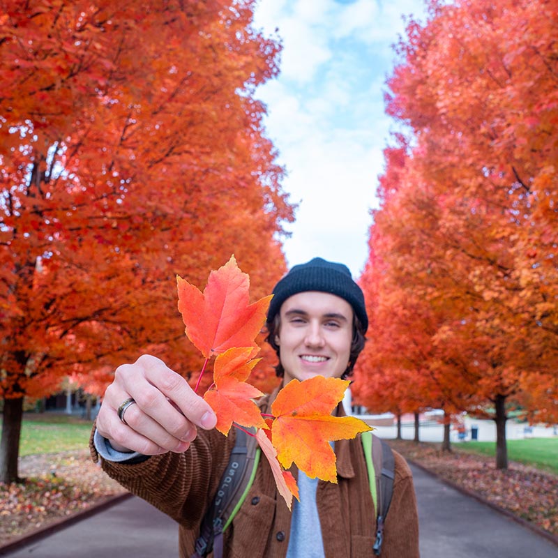 Male student smiling holding up orange fallen leaves to the camera while standing in front of orange colored trees