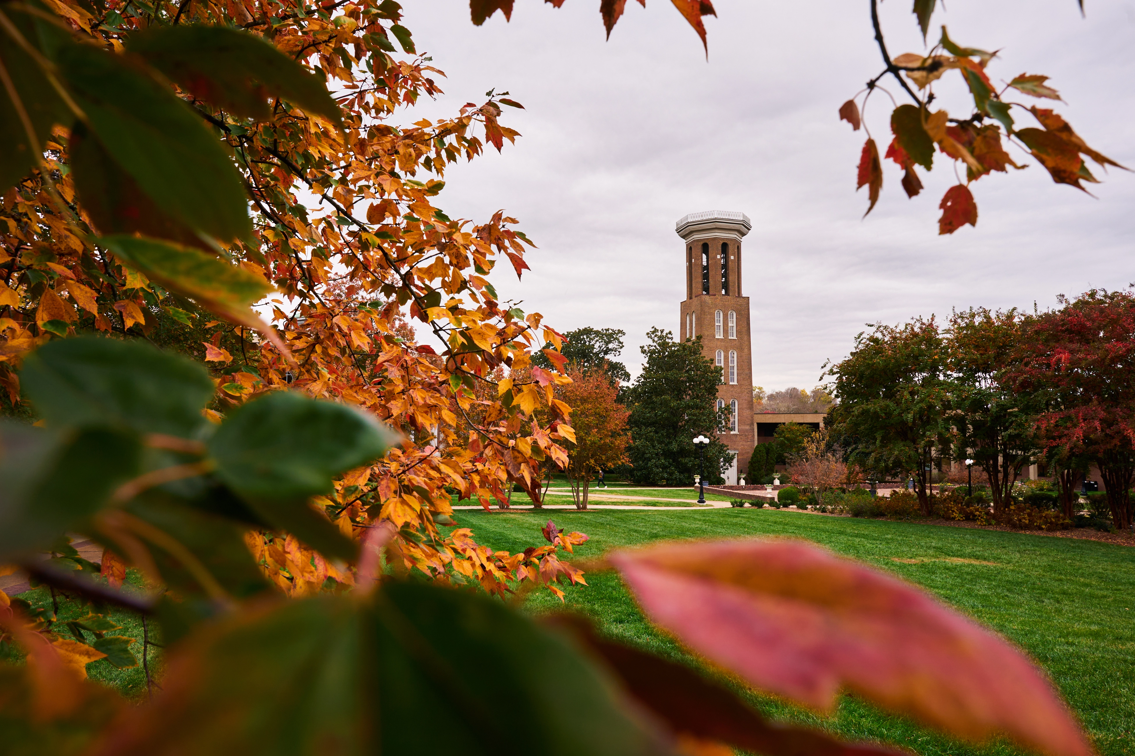 belmont bell tower framed by vibrant fall leaves