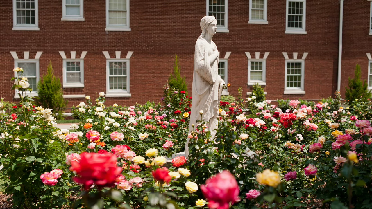 A serene white statue stands amid a vibrant rose garden, with colorful blooms in red, pink, and yellow. A brick building serves as a backdrop.