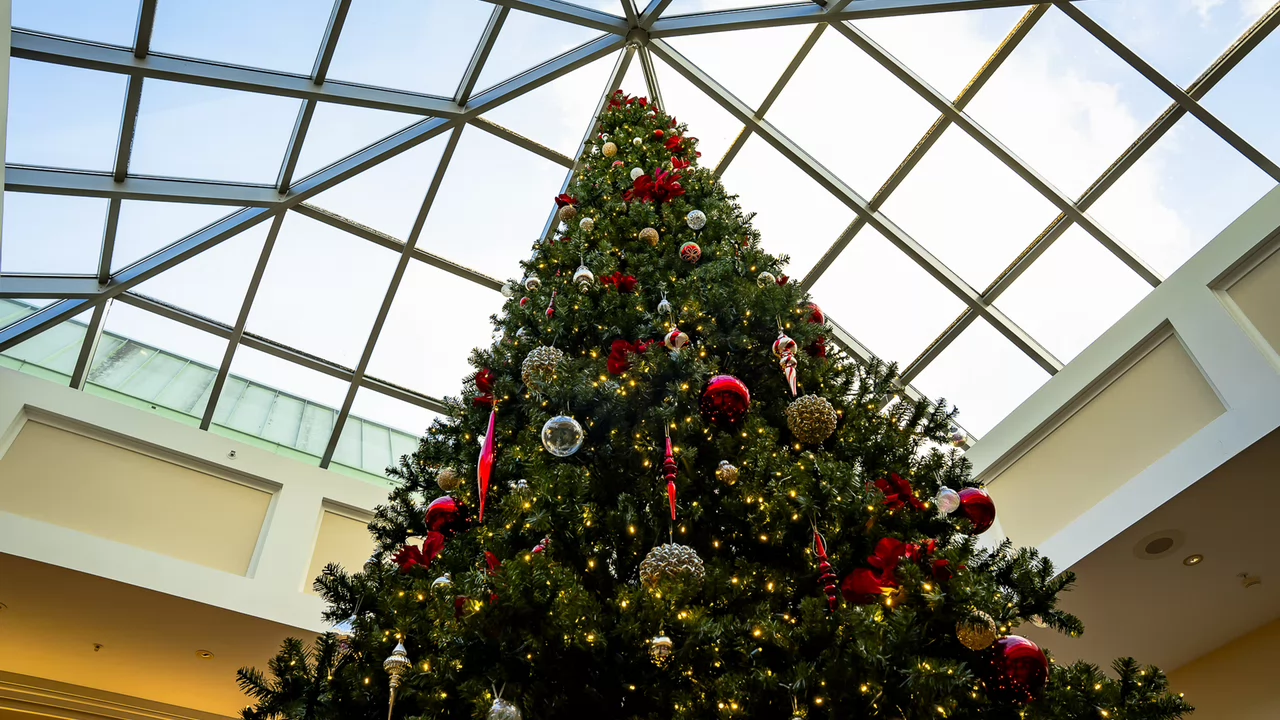 Tall Christmas tree adorned with red and gold ornaments under a glass ceiling. 