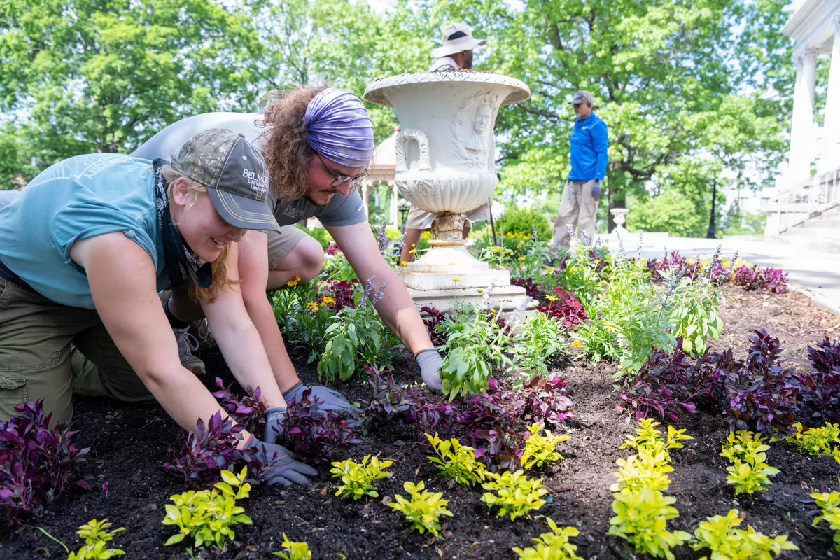 Two people enthusiastically plant vibrant flowers in a garden, surrounded by colorful blooms and a large decorative urn.