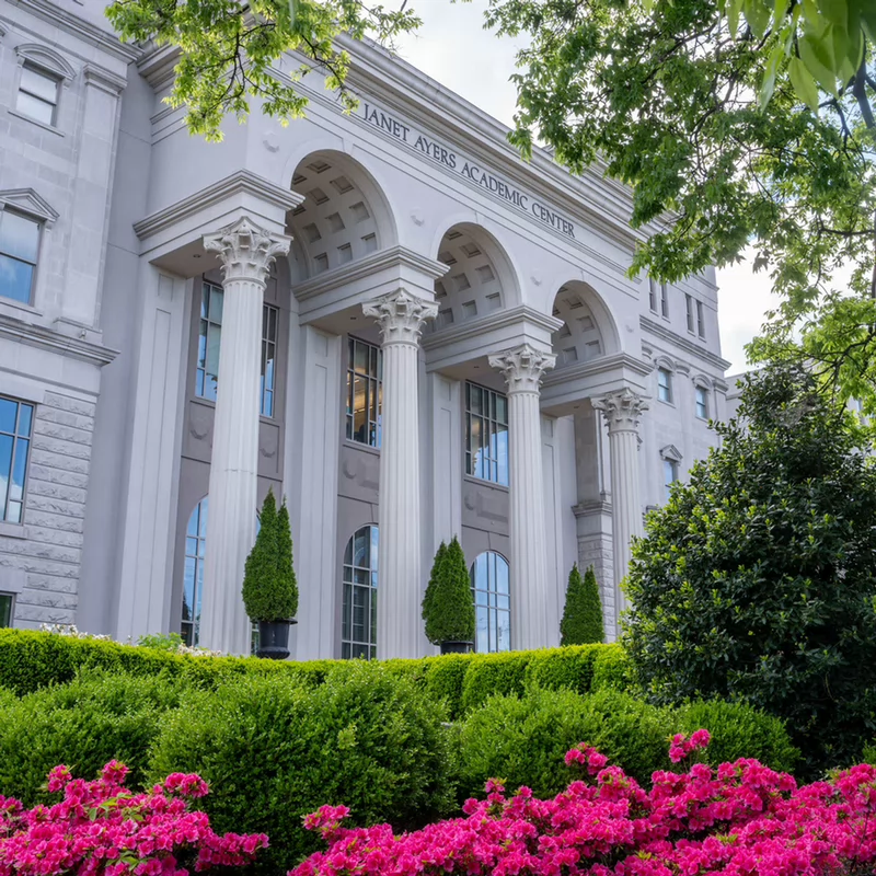 janet ayers building with tulips in foreground