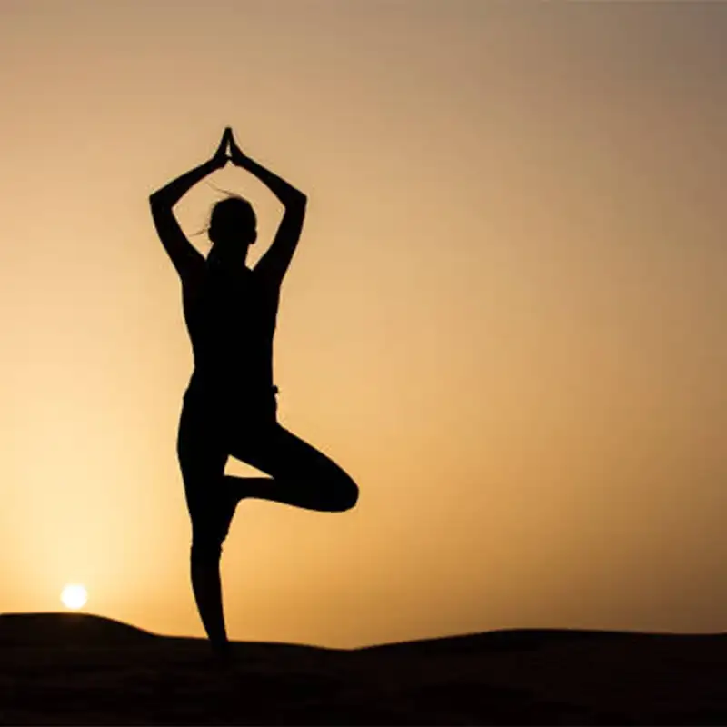 Decorative compass icon