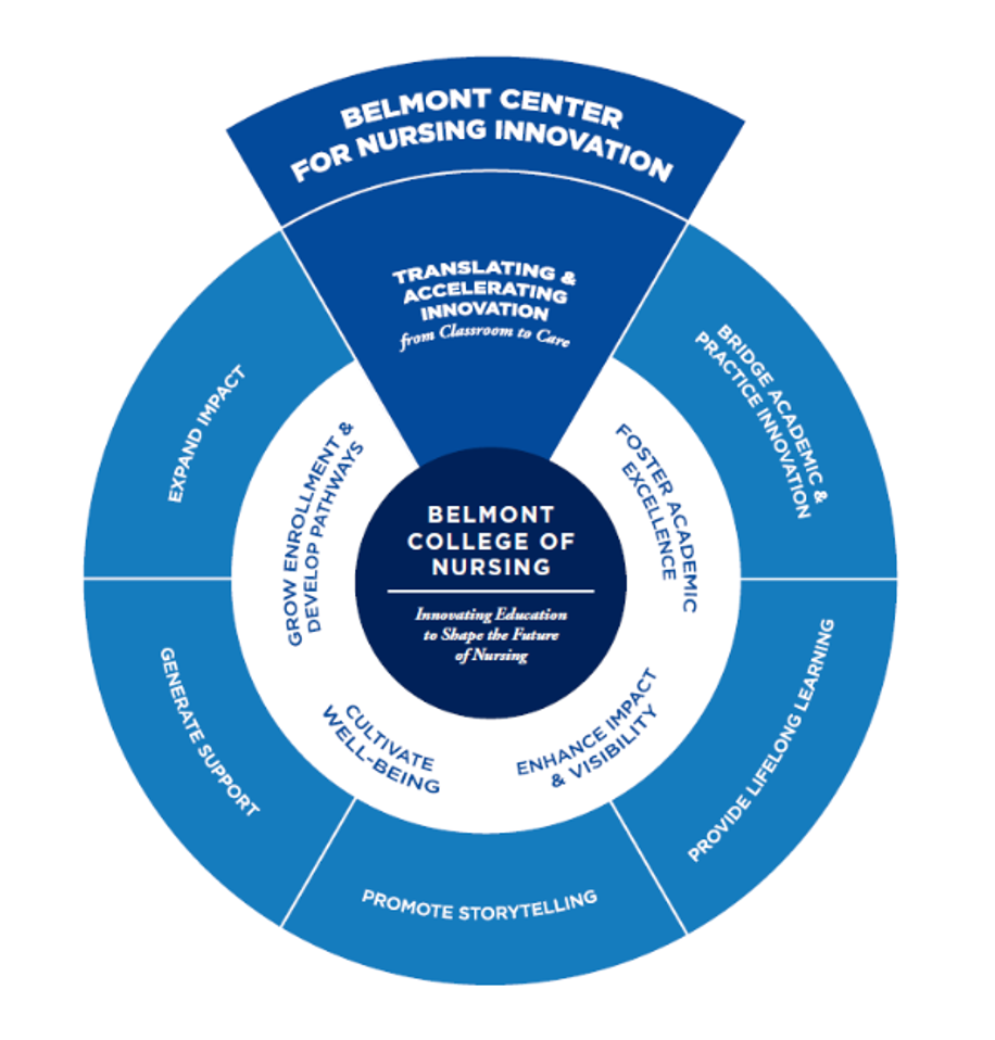 A pie chart explaining the fundamentals of Nursing Innovation