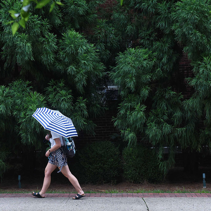 A student with an umbrella waking in the rain past green vegetation