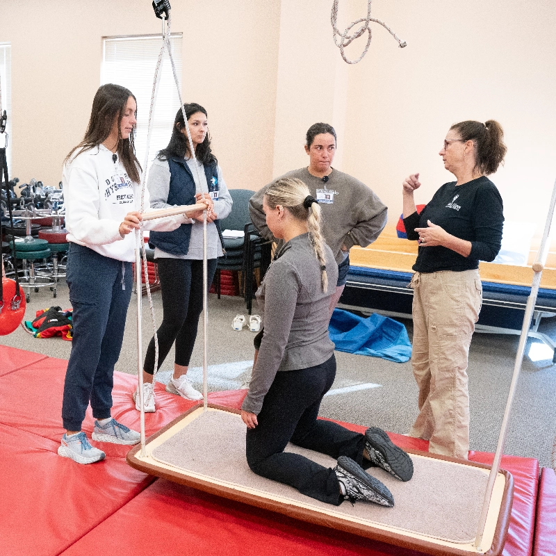 Physical therapist guides a patient kneeling on a suspended therapy swing for balance training in a rehabilitation clinic.