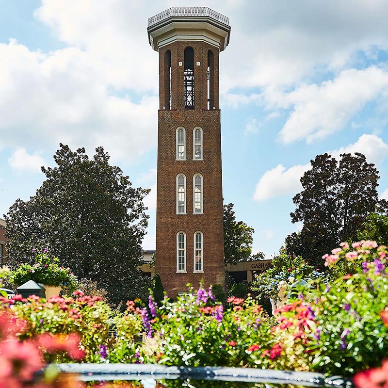the bell tower on a sunny day surrounded by flowers 