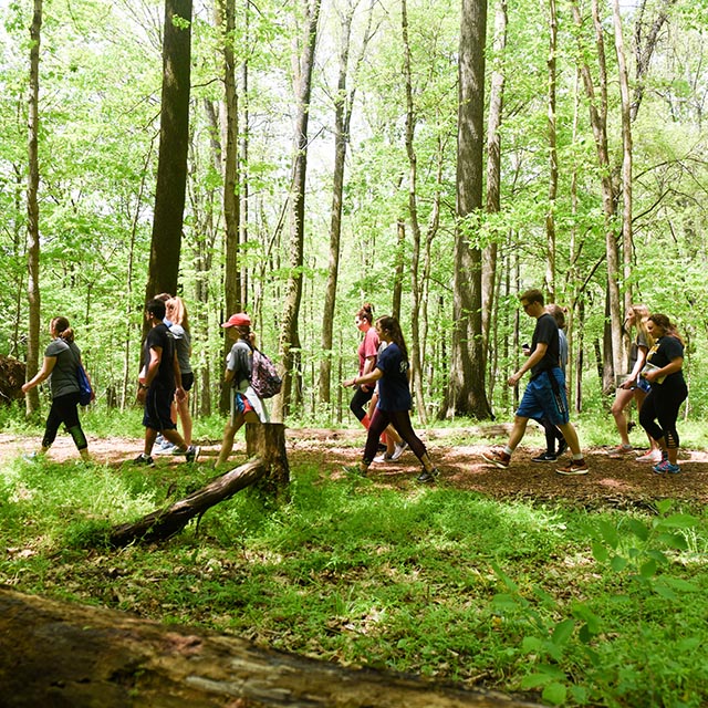 Students on a hike through the woods