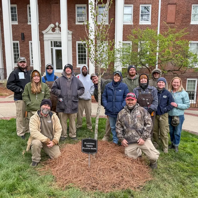 Landscaping team with newly planted tree