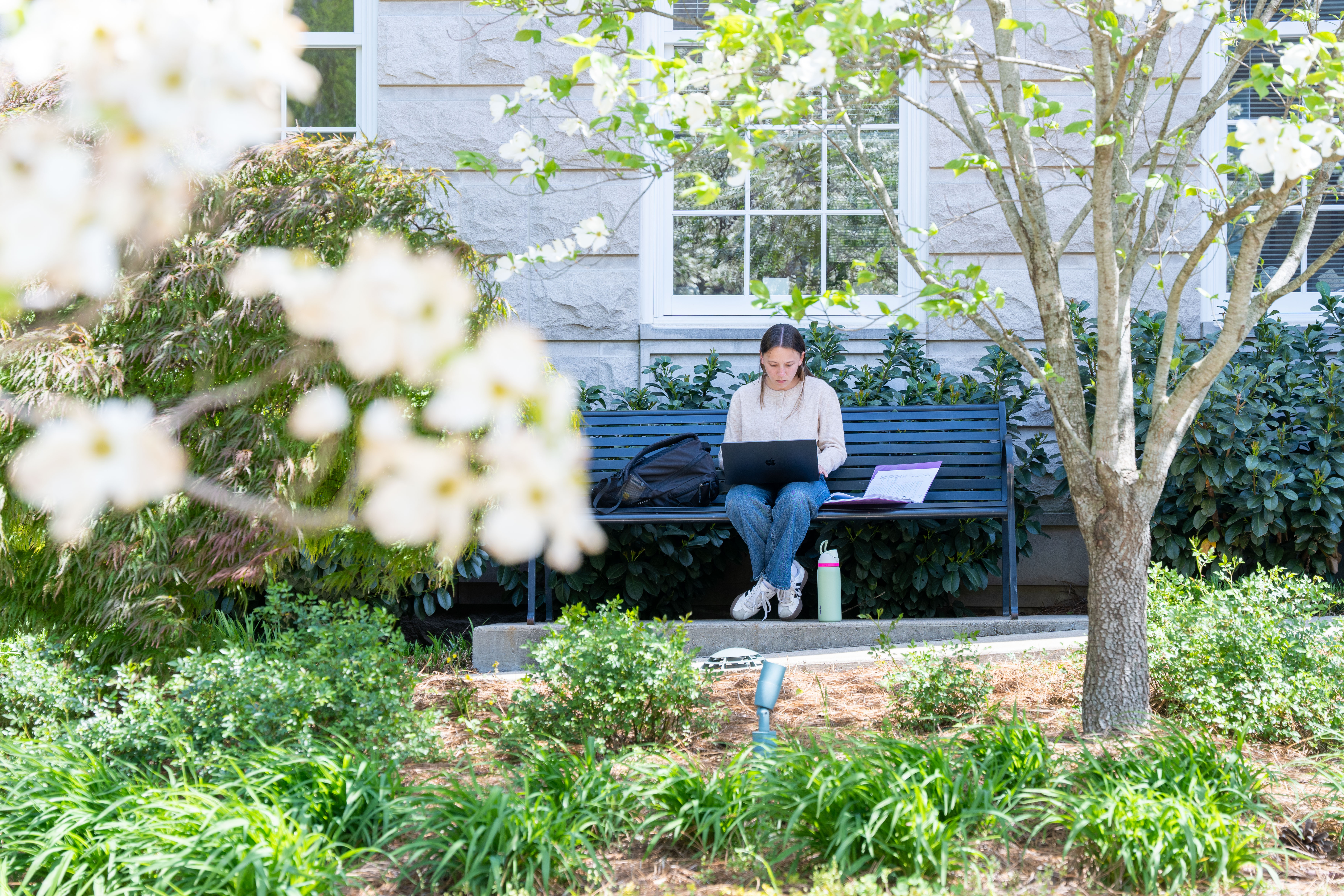 Student studying on bench