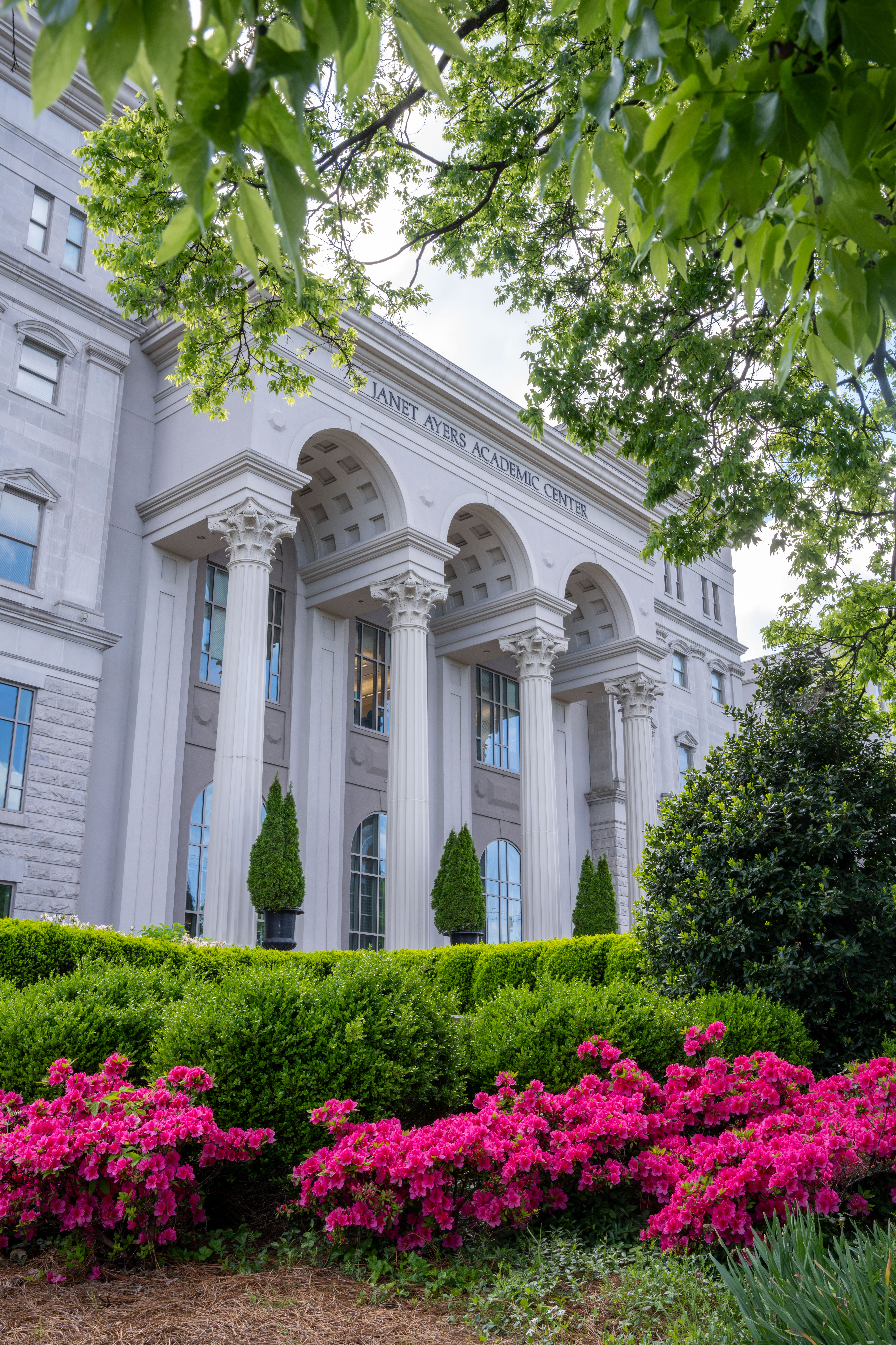 Campus building with pink flowers
