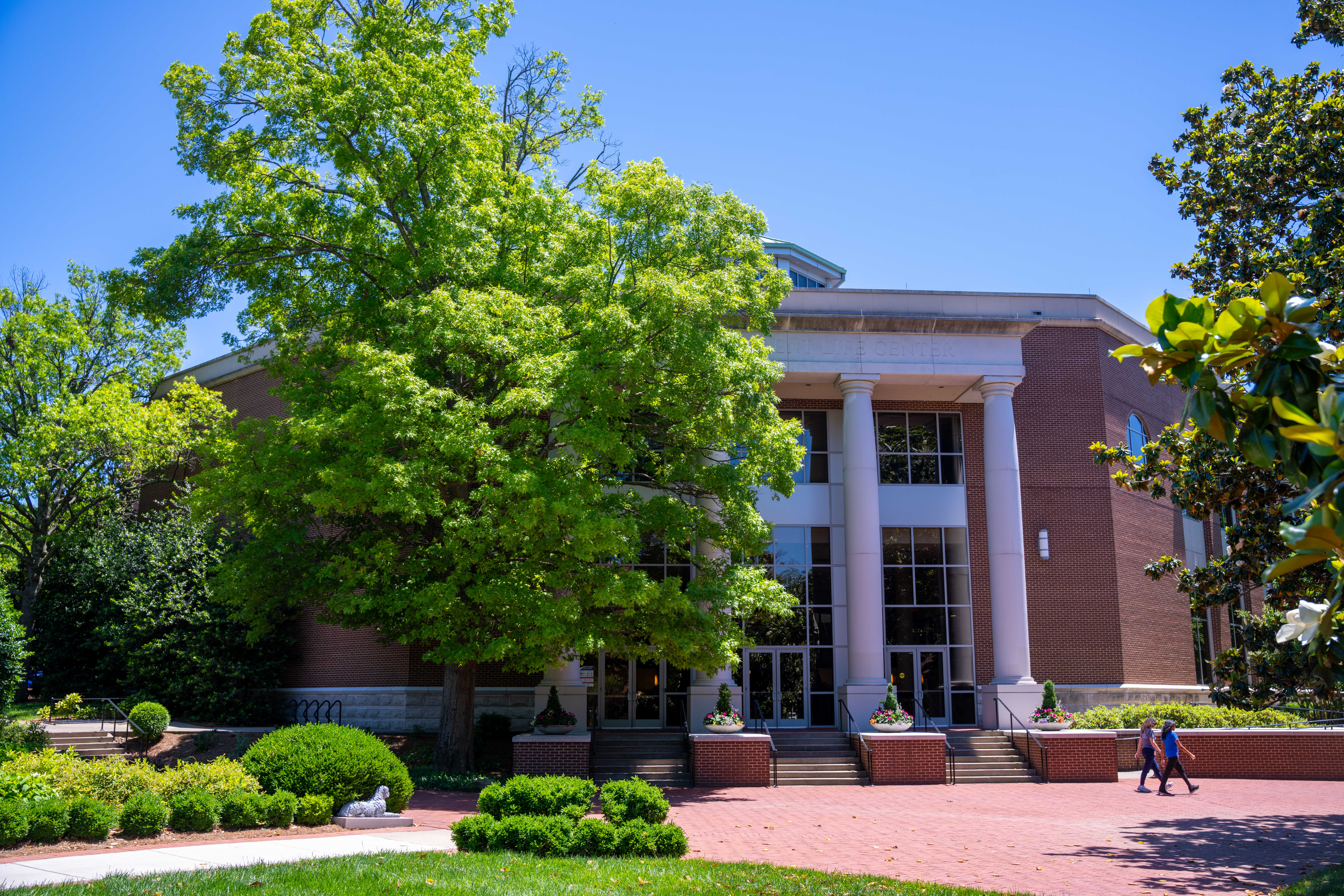 large tree in front of building