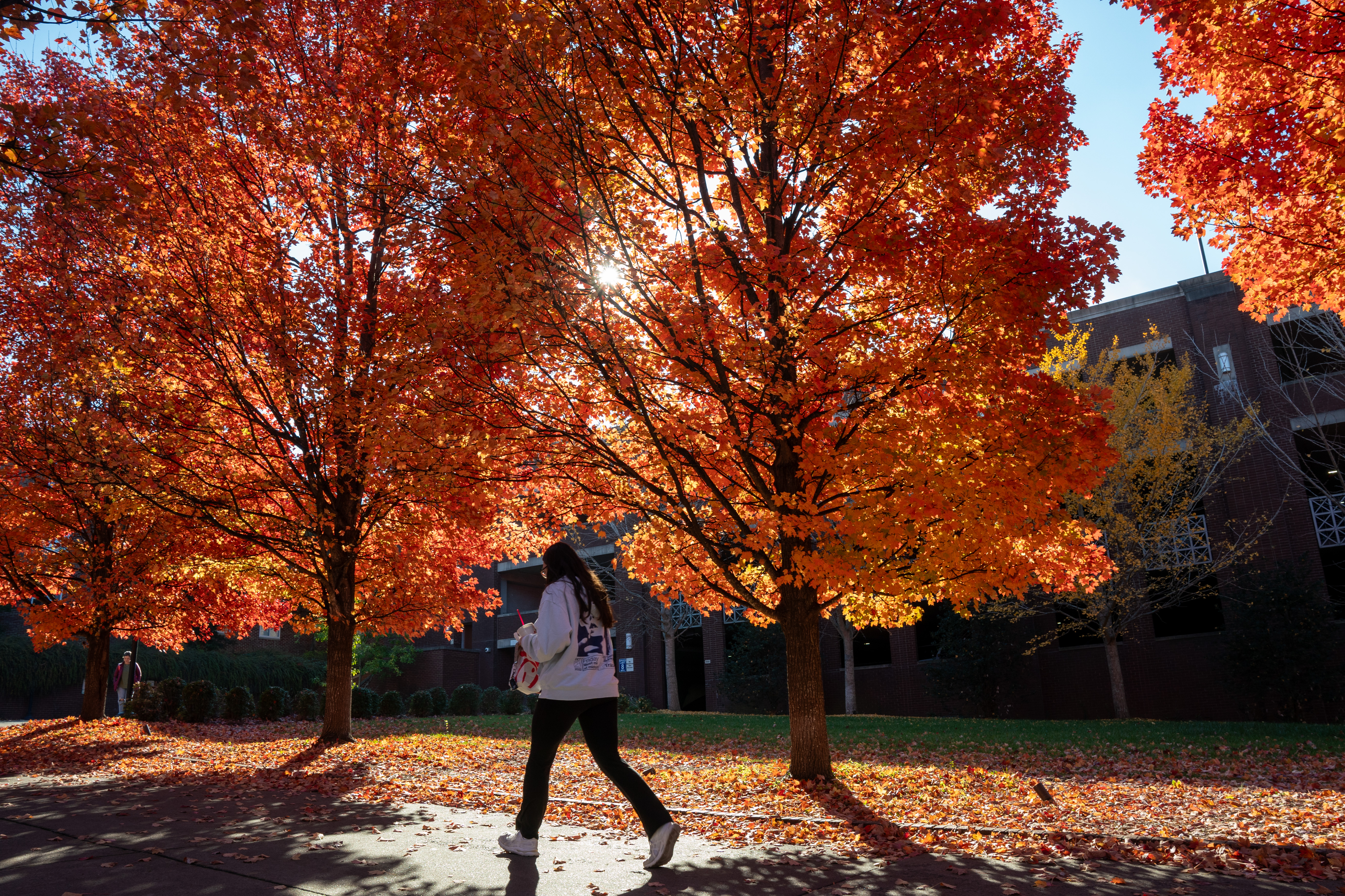Student walking In the fall