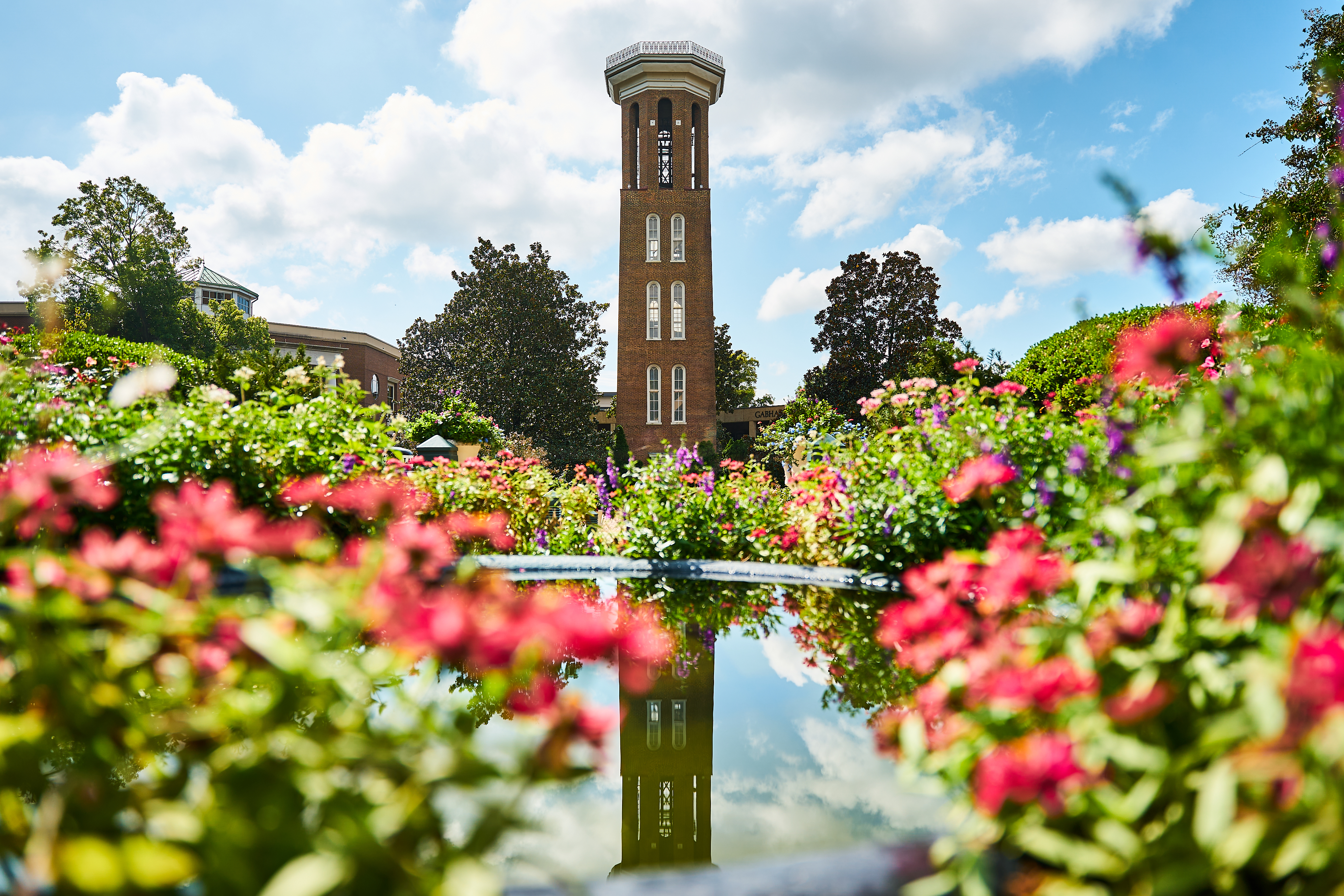 Bell Tower with blooming flowers