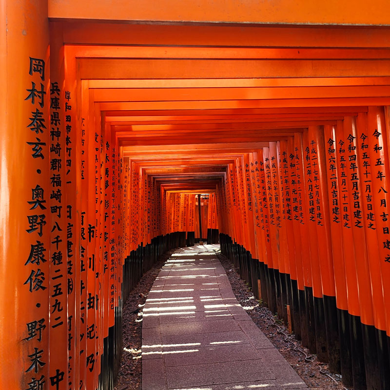 Belmont students studying abroad