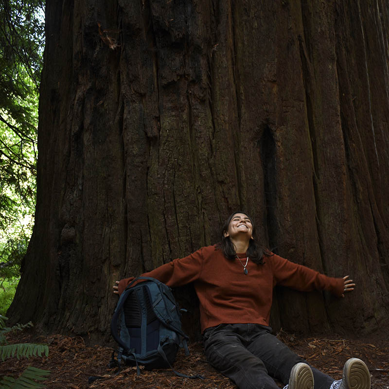 Belmont USA student sits against a large Red wood tree with her arms out and head looking up to the sky