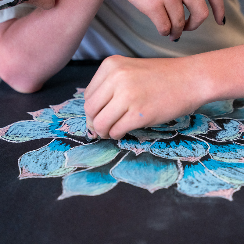 hand holding a piece of chalk pastel, working on a drawing of a succulent