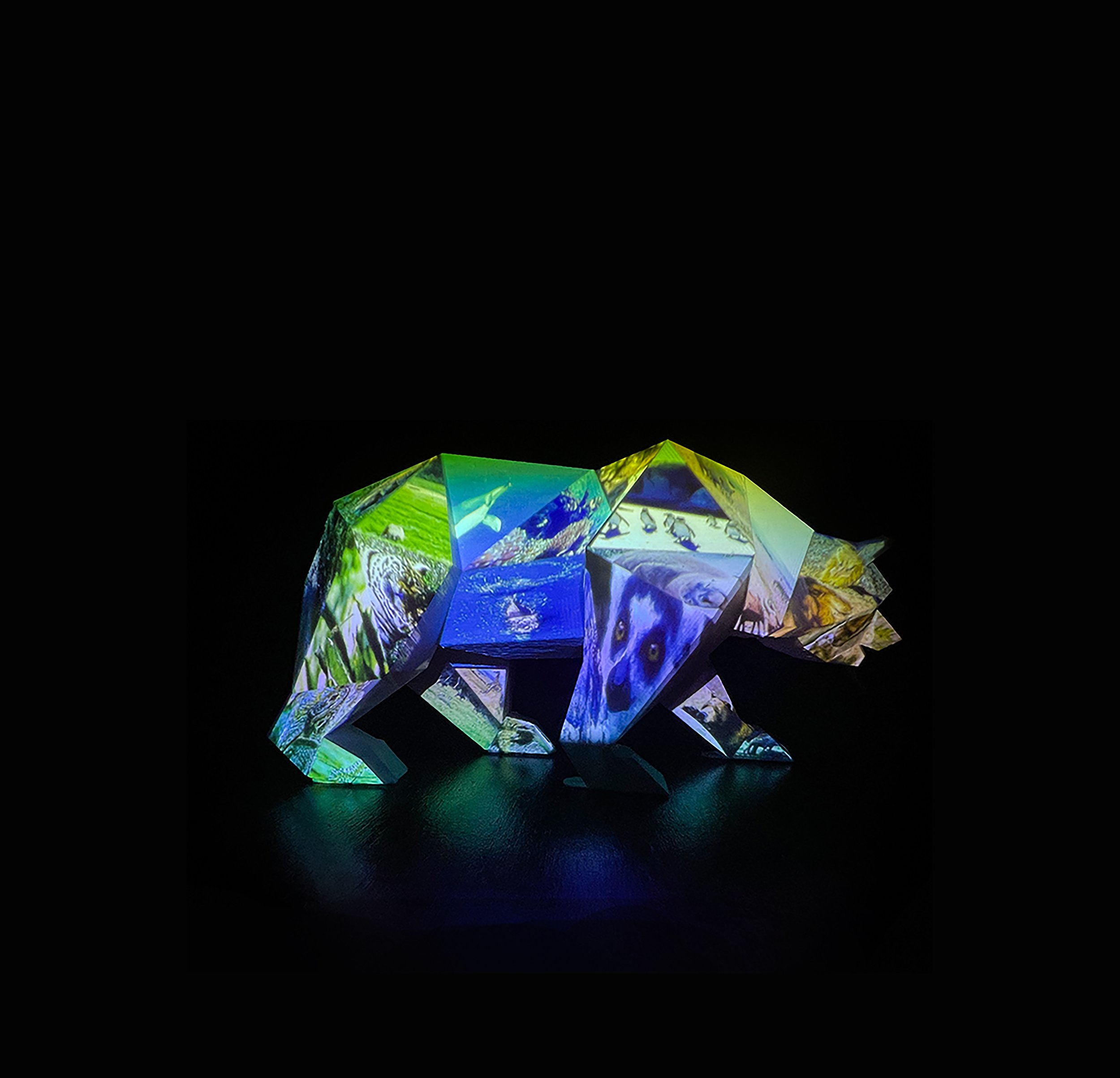 Projection mapping bear