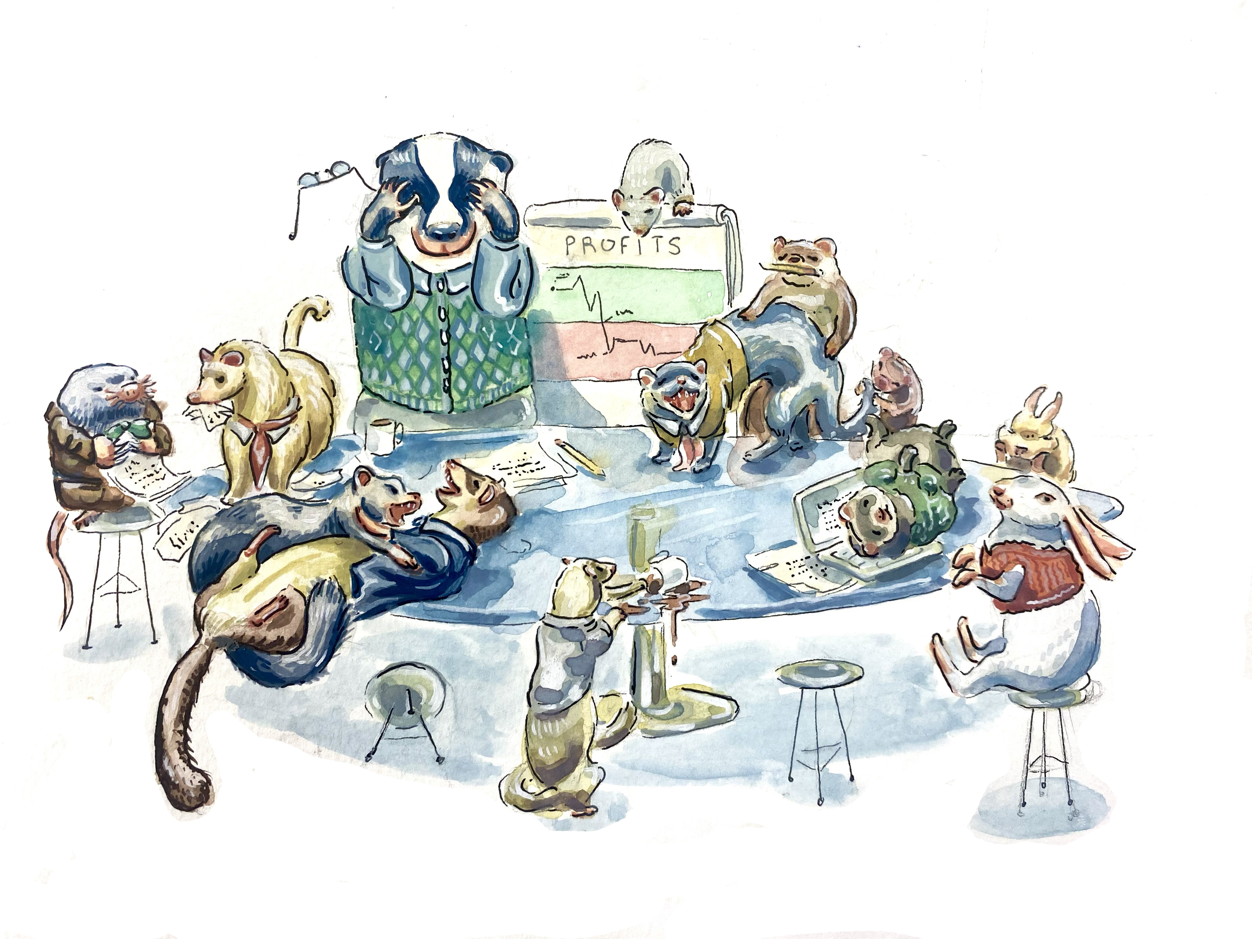 ferrets hanging out together